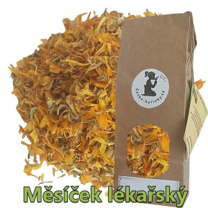 mesicek_lekarsky_suseny_kvet